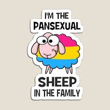 Pansexual synonyms, pansexual pronunciation, pansexual translation, english dictionary definition of pansexual. Pansexual Meaning Gifts Merchandise Redbubble