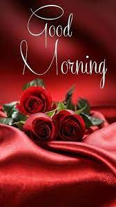 good morning ka red roses wallpaper