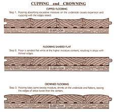 cupping condition in wood flooring