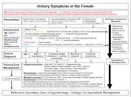 urogynaecology refhelp