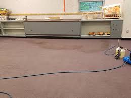 carpet cleaning service michigan city