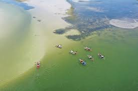 Get the reviews & ratings at inspirock along with details of location, timings and map of nearby attractions. Clear Kayak Through Scenic Shell Key Preserve Get Up And Go Kayaking