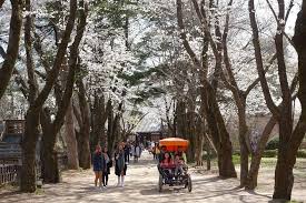 day trip to nami island and everland