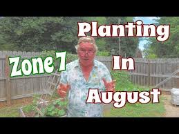 August For Your Vegetable Garden Zone 7