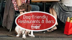 dog friendly bars and restaurants