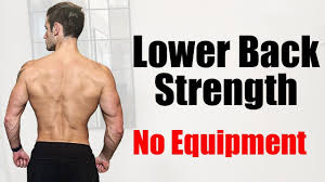 It helps to stabilize and rotate the lower back, and additionally takes some. Lower Back Strength No More Back Pain Beginner Workout No Equipment Youtube