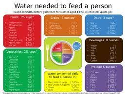 Charts Of Water Content Of Food Water Makes Up 20 Of Our