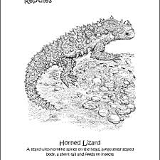 Animal coloring book pages for adults. Reptiles Coloring Book 10 Different Pages