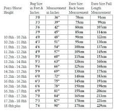 Horse Blanket Chart Zionak Org