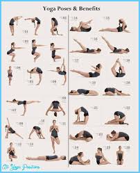 diffe types of yoga poses with