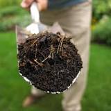 What compost do I need for plants?