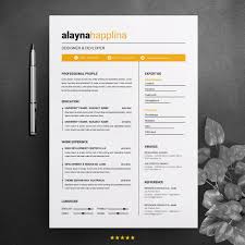 Simple Resume Template Icons Color Areas Colored Puzzle
