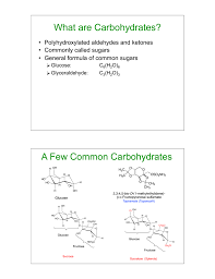 What Are Carbohydrates A Few Common Carbohydrates