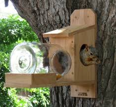 Nuthouse Squirrel Jar Feeder