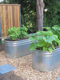 Container Gardening With Feeding
