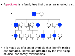 Dominant And Recessive Traits Attached Unattached