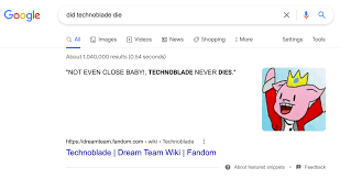 Google never lies and technoblade never ...