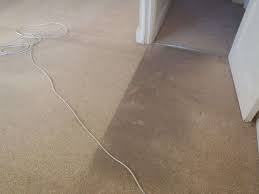 carpet cleaning southend pro cleaning