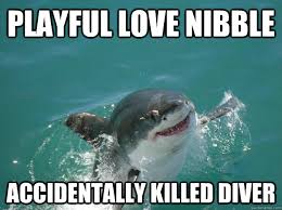Misunderstood Shark memes | quickmeme via Relatably.com