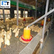 plastic mesh flooring for poultry