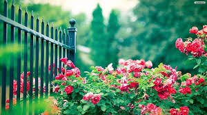 Beautiful Garden Gate Garden Flowers