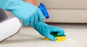 spray foam carpet cleaner best