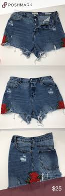 Pacsun Distressed Embroidered Denim Shorts Mom Jeans With