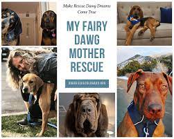 Rescue Spotlight: My Fairy Dawg Mother Rescue - Pawstruck Press