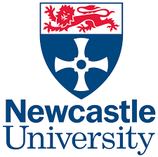 Professional Cv Newcastle   curriculum vitae maker