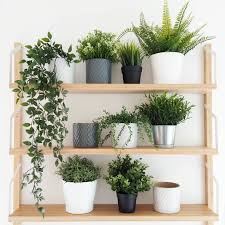 This one really takes some thinking outside of the box, but the end result is truly unique and beautiful! Ikea Fejka Artificial Herb Nordic Chill