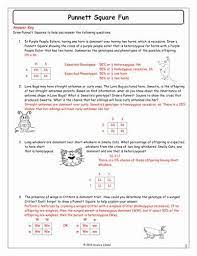 These intro to genetics worksheets & punnett square practice are the perfect way to reinforce ideas of simple mendelian genetics. Mendelian Genetics Worksheet Answer Key Fresh Genetics Worksheet Answers Chessmuseum Templ Genetics Practice Problems Punnett Squares Word Problem Worksheets