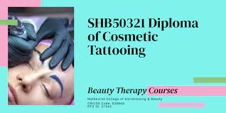 shb50321 diploma of cosmetic tattooing