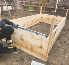Build A Raised Garden Bed The