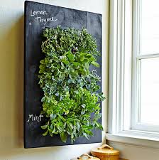 This diy vertical garden assembly is a great method for starting a short diy project for your indoor. 8 Simple Ways To Create An Indoor Vertical Garden In Your Home