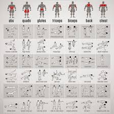 Full Bodyweight Exercises Chart Healthy Fitness Workouts