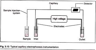 Electrophoresis Meaning Definition And Classification