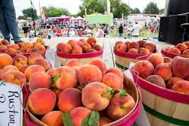 porter peach festival 2023 green