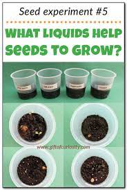 seed experiment 5 what liquids help