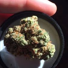 Some of our strains include london pound cake, gary payton cookies. Mystery Cookies Cannabis Strain Report