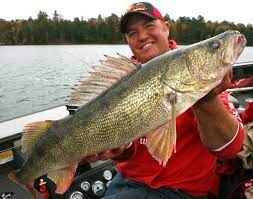 Fishing Line Choices For Walleye