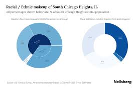 south chicago heights il potion by