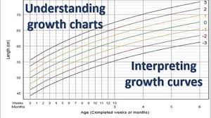 children growth charts understanding