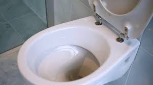 How To Descale A Toilet Tips To Remove
