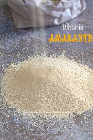 amaranth what is it and how to cook