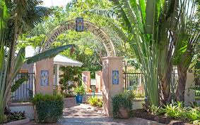 The Best Tropical Gardens In Tampa And