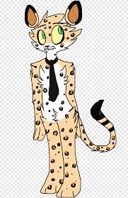 whiskers leopard cheetah jaguar