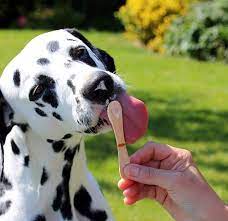 Stay cool and have the best weekend! Best Diy Frozen Dog Treats American Kennel Club