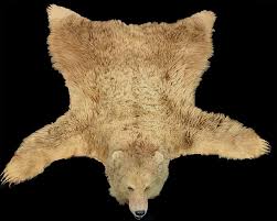 kodiak bear rug bischoff s s