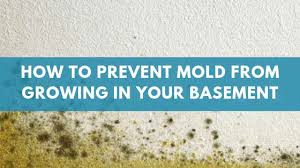 Prevent Mold From Growing In Your Basement