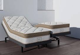Split Queen Adjustable Bed Sleep Number